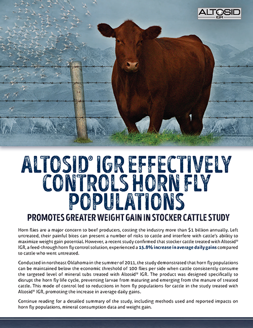 Oklahoma State Stocker Cattle Study 